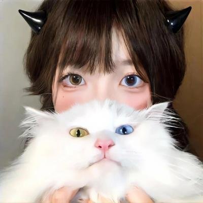 混蛋2